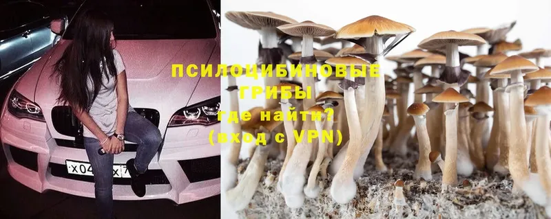 Галлюциногенные грибы MAGIC MUSHROOMS  наркошоп  Гусиноозёрск 